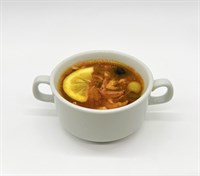Солянка сборная мясная 200 гр 1851
